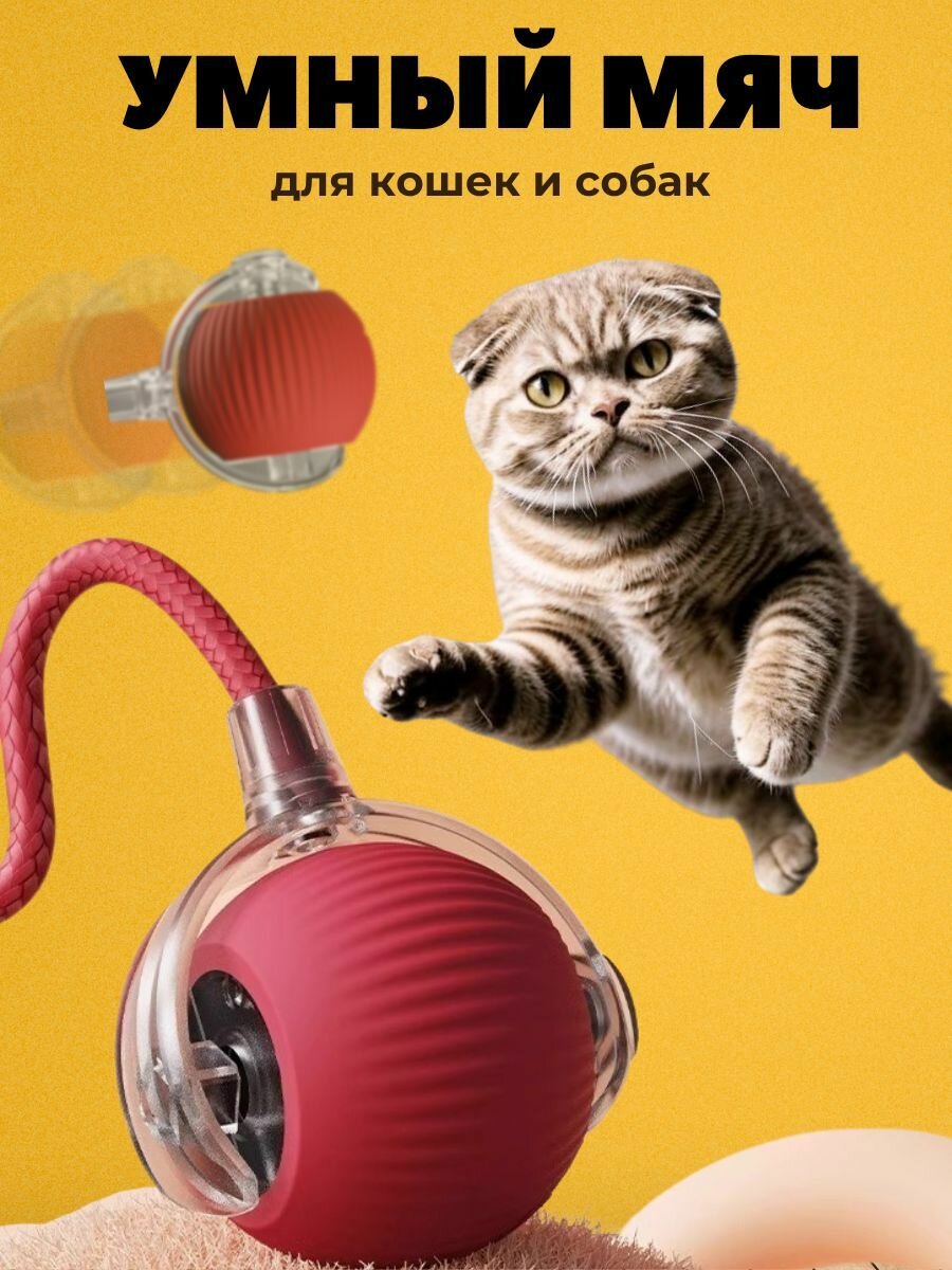 Игрушка для кошек и собак умный мяч интерактивный
