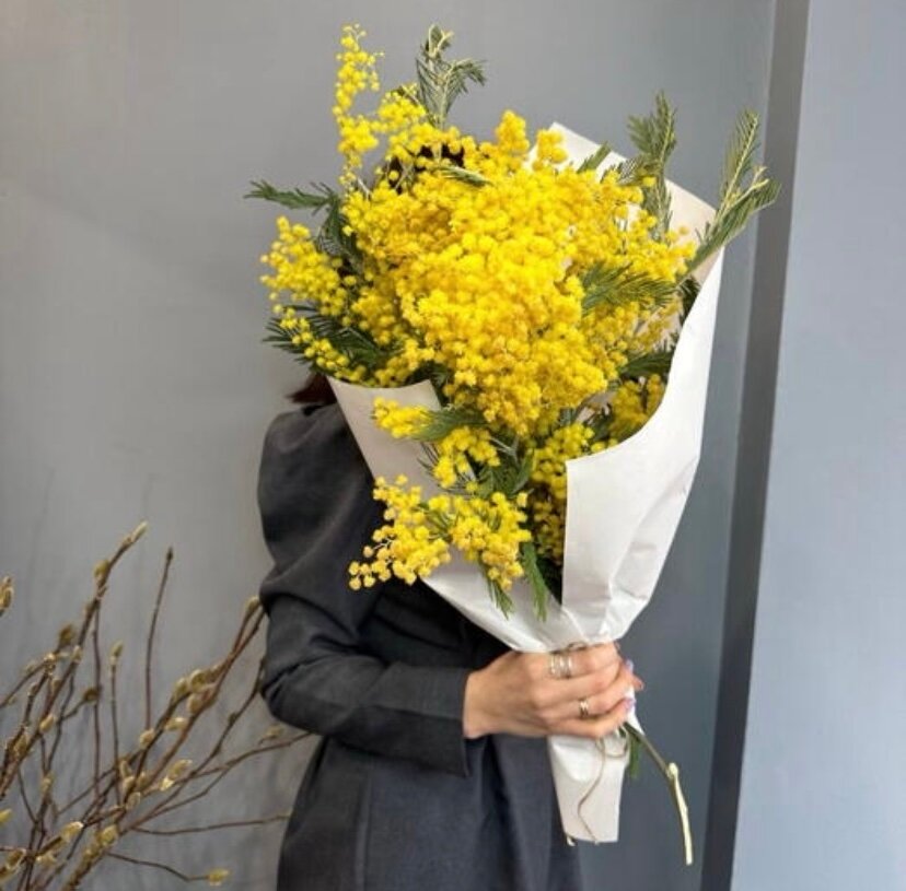 Букет живых цветов мимозы NURA FLOWERS 7 цветков высота 50 см доставка по Москве
