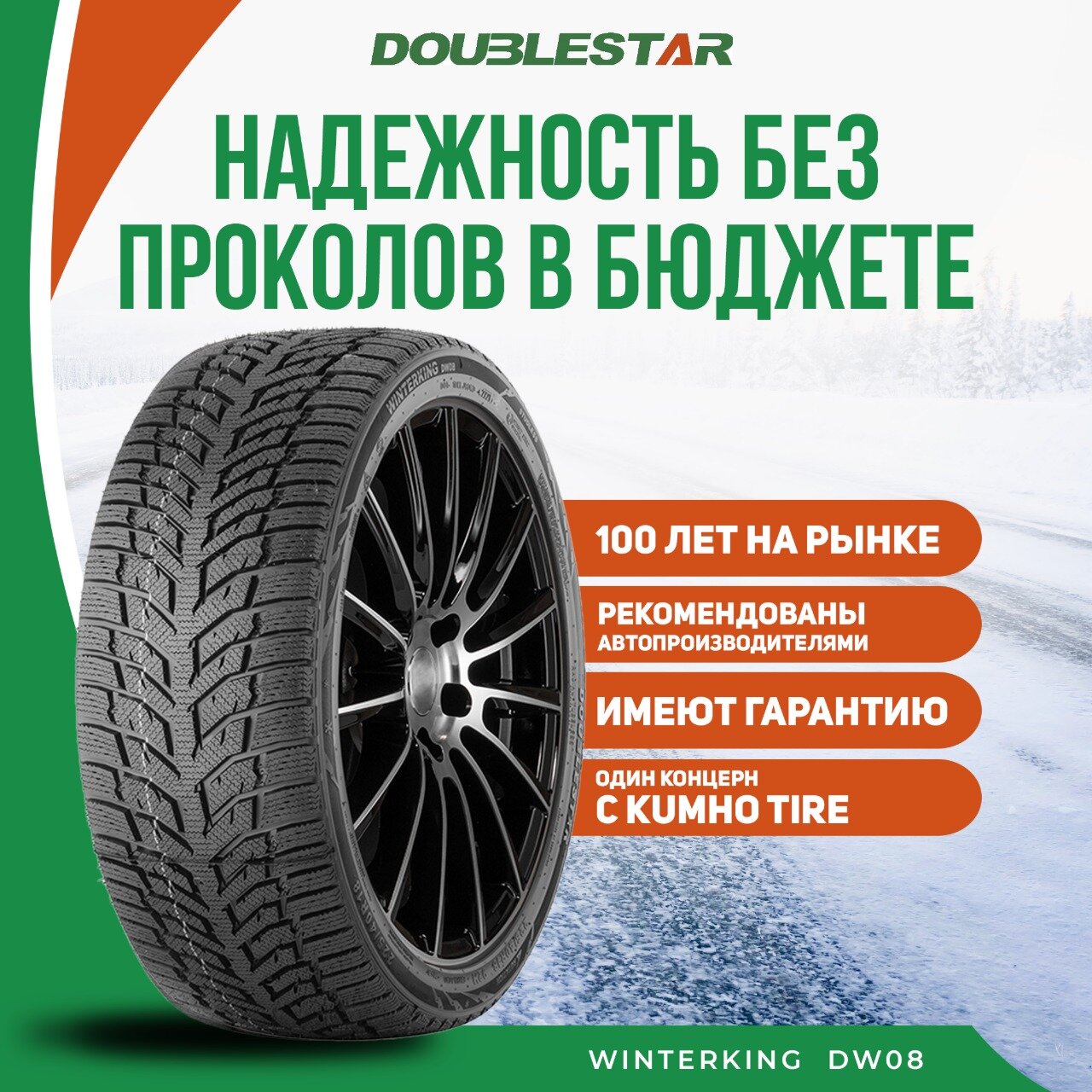 Шины зимние Автомобильная шина DoubleStar DW08 165/65 79T