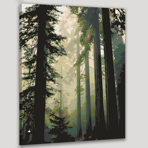 Изображение товара Картина по номерам 40x50 см, фотография, туманный лес, высокие деревья, исчезающие в тумане, густой туман
