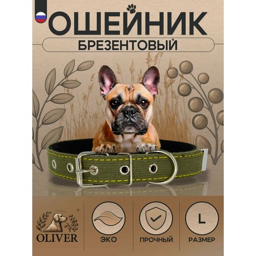 Брезентовый ошейник для собак Oliver на мягкой подкладке из синтепона / L / Хаки