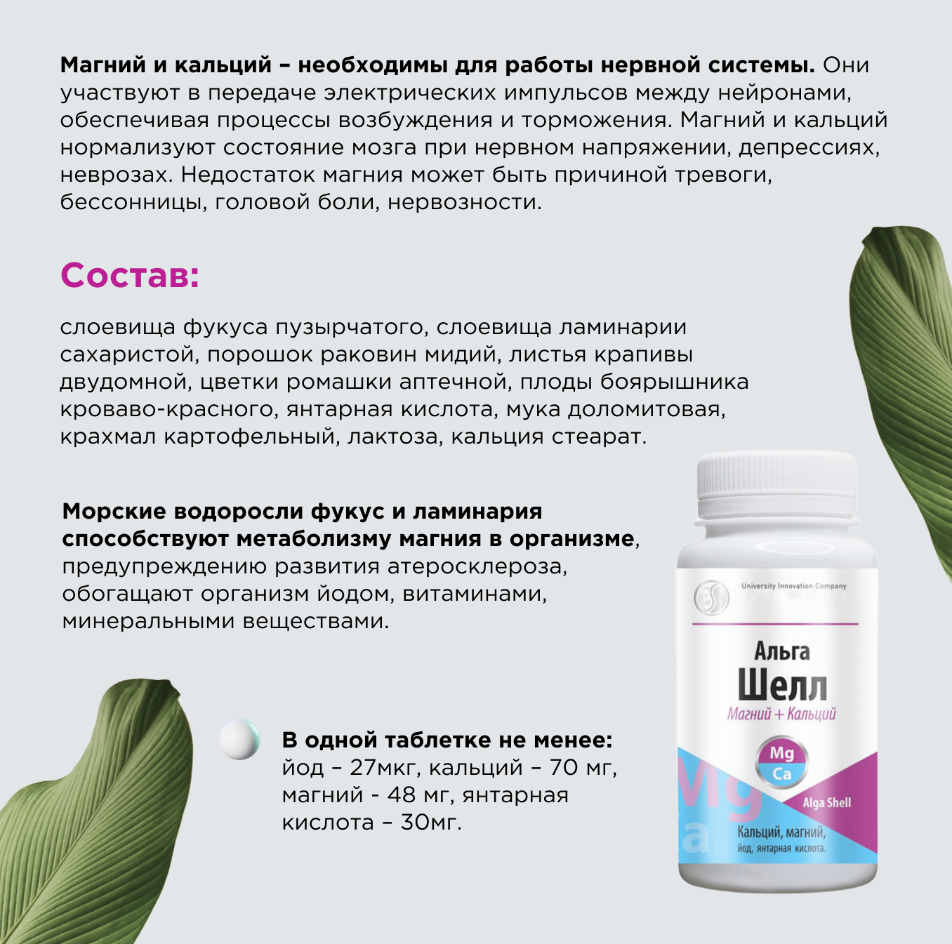 Картинки БАД Литораль Альга Шелл, для нервной системы и ЦНС, 50 таблеток
