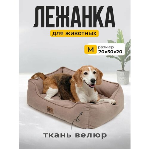 Лежанка для Кошек и Собак Большая с Бортиками и Подушкой