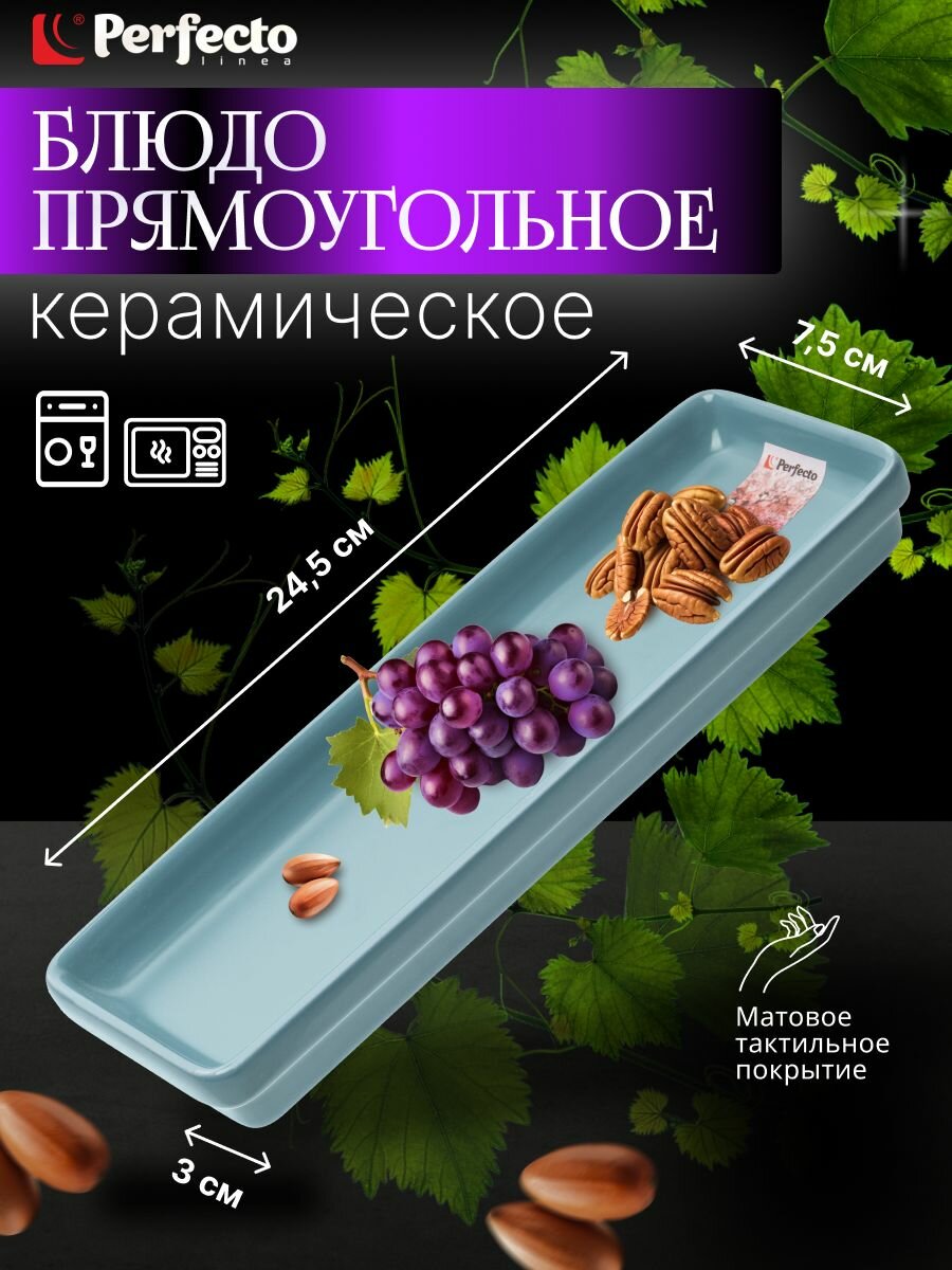 Блюдо керамическое прямоугольное PERFECTO LINEA Asian 24,5х7,5х3 см голубой (17-102452)