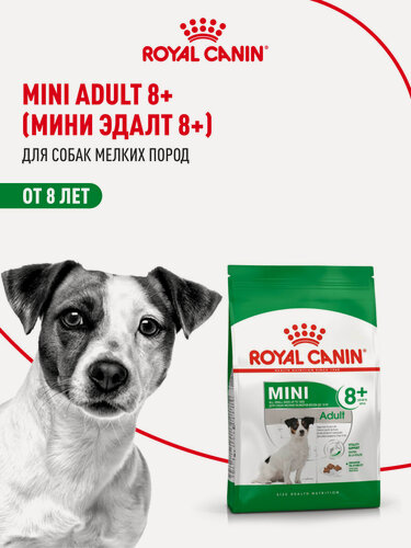 Изображение товара Сухой корм для собак Royal Canin Mini Adult 8+ для мелких пород, 4 кг