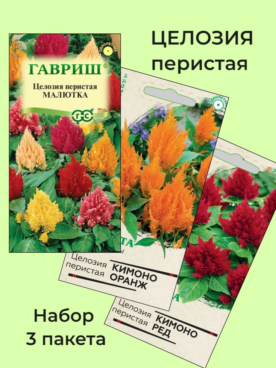 Семена Целозия Перистая 3 сорта