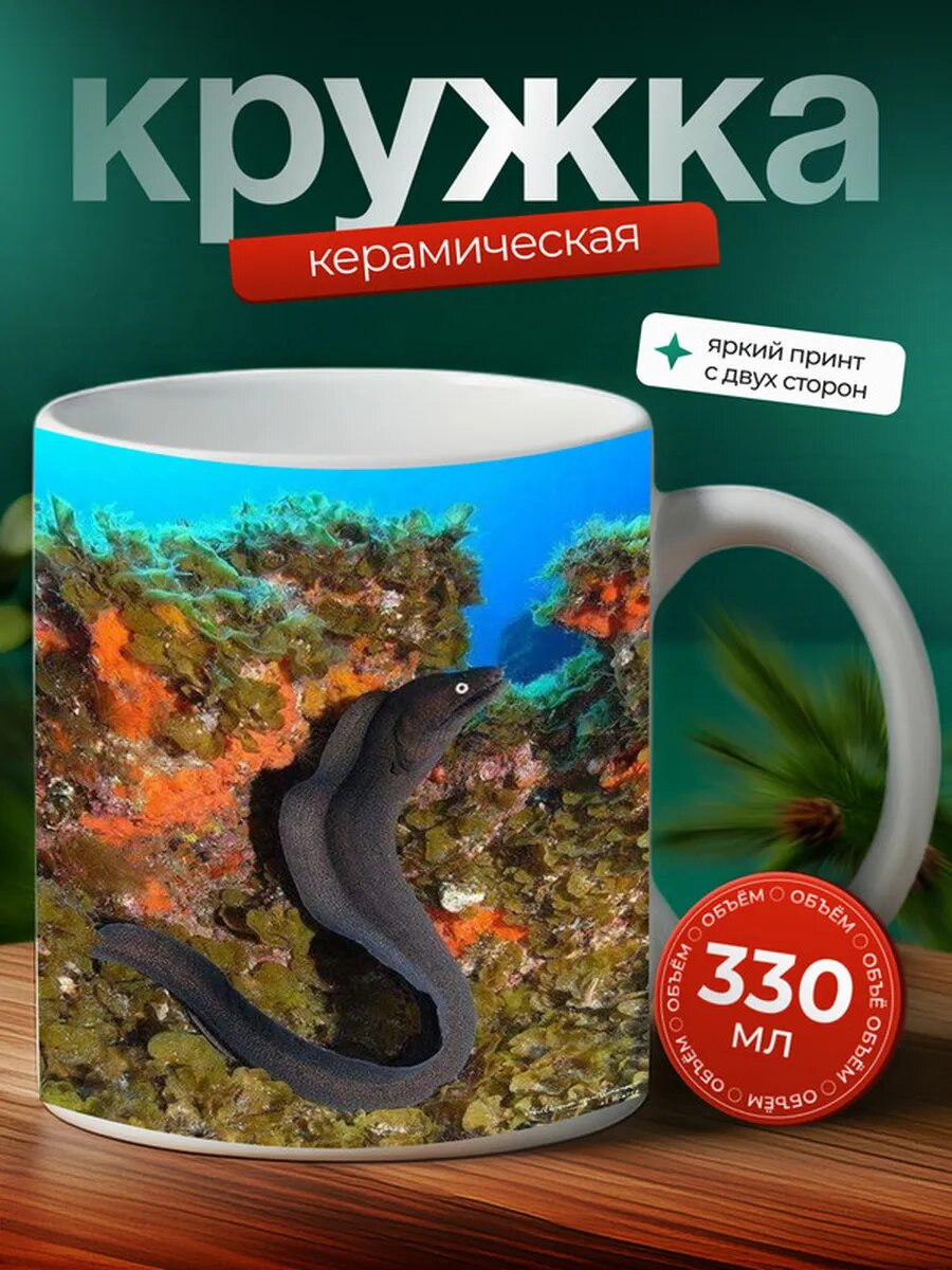 Кружка Мурена рыба,