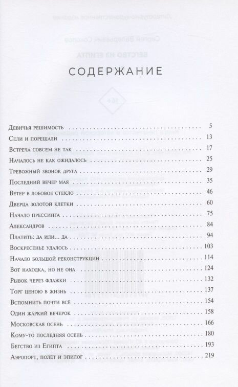 Бегство из Египта (Соколов Сергей Валерьевич) - фото №3