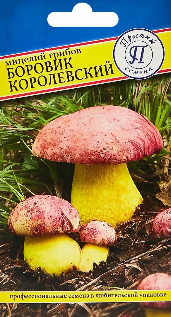 Мицелий грибов Престиж боровик Королевский