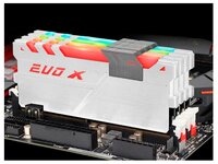 Оперативная память GeIL EVO X AMD Edition GAEXW48GB2400C17DC