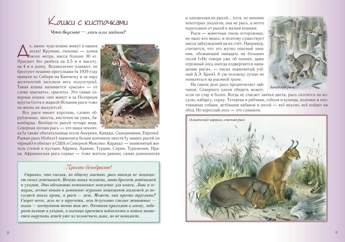 Кошки и собаки. Знакомые и неизвестные - фото №9