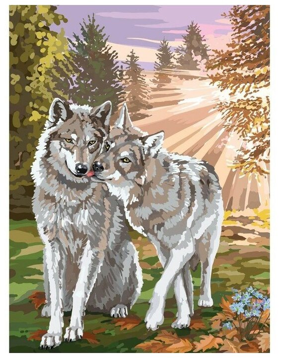 Алмазная мозаика с полным заполнением на подрамнике «Волки», 30 x 40 см