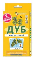 Набор карточек Айрис-Пресс Занимательные карточки. Комплект ЗК по окружающему миру на поддончике (фи