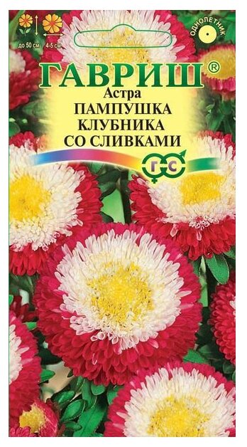 Семена Гавриш Астра Пампушка клубника со сливками помпонная 03 г