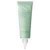 Bisou, Пилинг для кожи головы Renewal Scalp Peeling с АНА и ВНА кислотами, 100 мл - изображение