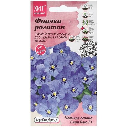 семяна фиалка скай блю 5 шт агросидстрейд Семена Цветов Фиалка Скай Блю, 5 шт