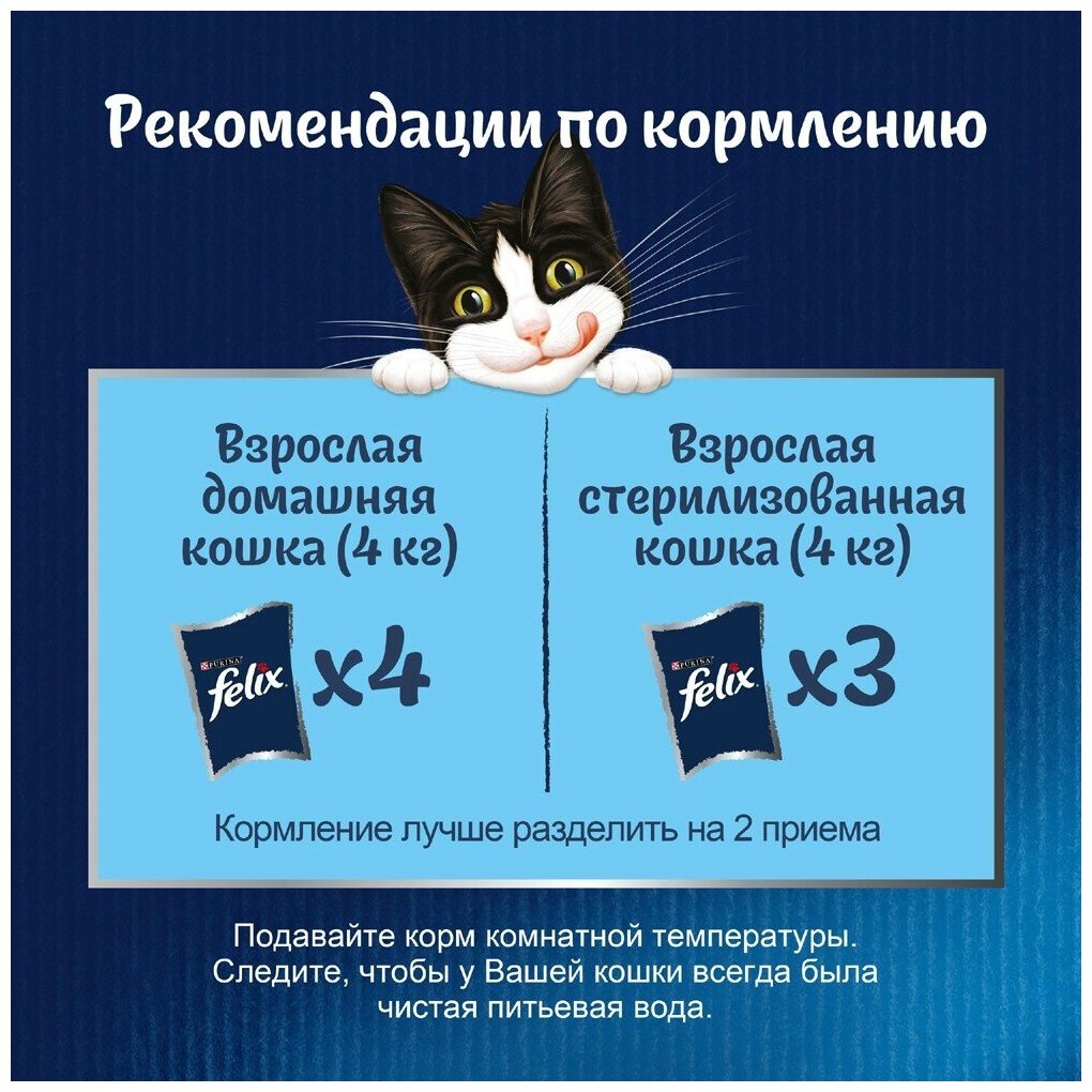 Felix Природа Вкуса влажный корм для взрослых кошек, с лососем в соусе (26шт в уп) 75 гр - фотография № 8