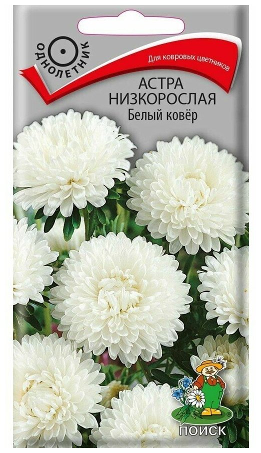 Семена Астра Белый ковер низкорослая 02 г (Поиск)
