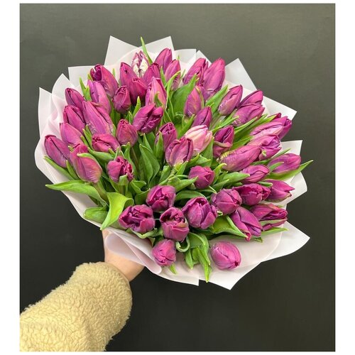 Филетовые тюльпаны 51 шт