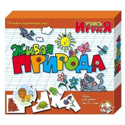 фото Настольная игра десятое десятое королевство