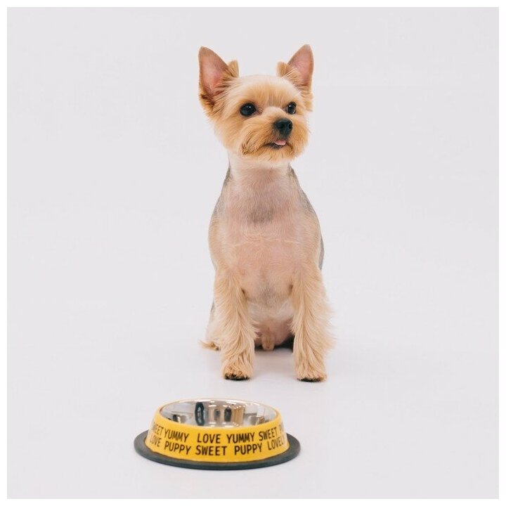 Миска металлическая для собаки с нескользящим основанием Puppy, 235 мл, 15х3.5 см - фотография № 6