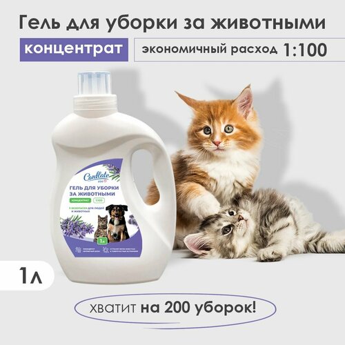 Средство для мытья полов и лотков животных с хлоргексидином, гель для уборки за животными концентрат, нейтрализатор запахов, 1 л. Лаванда Conflate ZOO