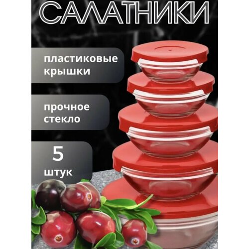 Салатник с крышкой 5 шт
