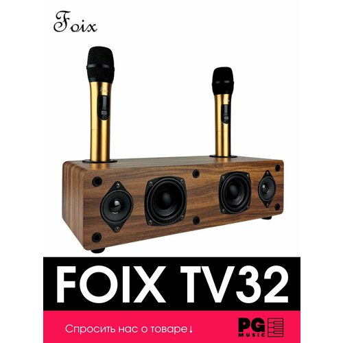 Караоке-система c двумя микрофонами Foix TV32 Gold 14101₽