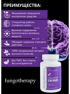 Изображение Экстракт ежовика гребенчатого, сушеные грибы в капсулах, ежовик мицелий порошок ноотроп для памяти