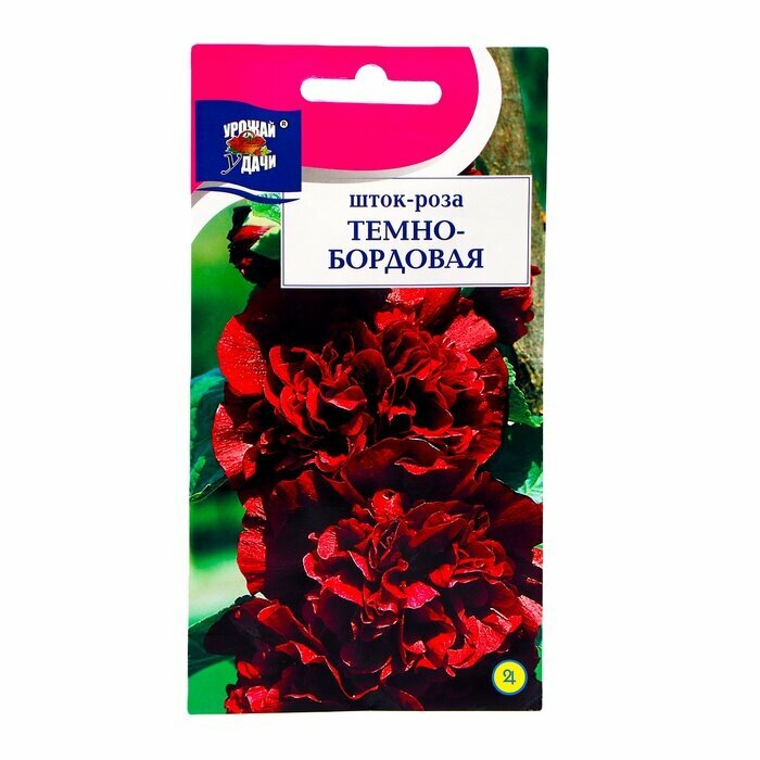Семена цветов Шток-роза Тёмно-бордовая 01 г