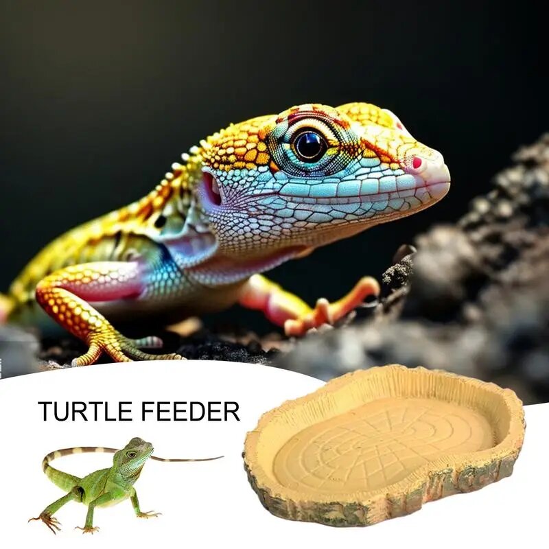 Посуда для кормления черепахи мелкая и плоская миска для кормления рептилий забавные товары для домашних животных портативные кормушки-хамелеоны для бородатого дракона