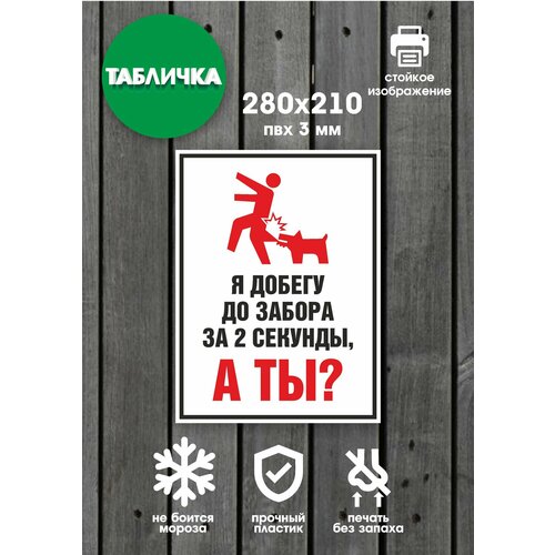 фото Табличка "злая собака" на дверь, ворота, стену 28х21см гкм
