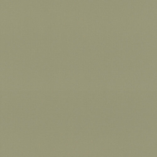 Изображение товара Обои флизелиновые Раш (Rasch) . Матовые моющиеся, однотонные зеленые 692709
