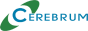 Cerebrum