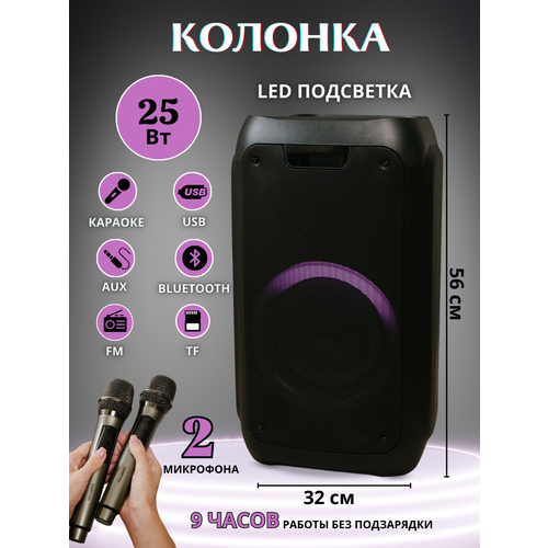 Колонка музыкальная с функцией караоке HOLLEBERG HX-E823