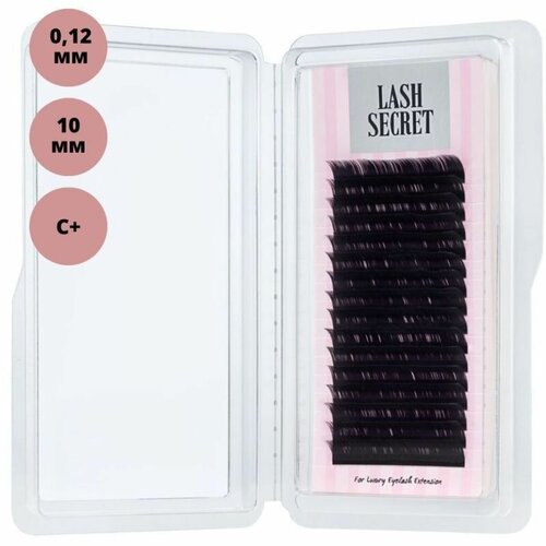 Lash Secret ,  , 16 , 0, 12/C+/10 , 