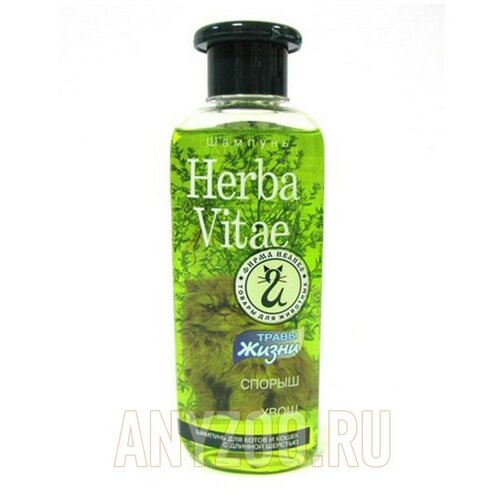 фото Шампунь herba vitae , 250 мл , 200 г