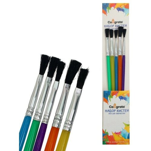 Набор кистей нейлон 5 штук плоские с пластиковыми цветными ручками набор кистей теропром 2691082 нейлон 5 штук плоские с пластиковыми цветными ручками
