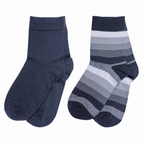 Носки Брестские 2 пары, размер 17-18, серый носки брестские 2 пары размер 17 18 мультиколор