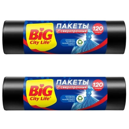 BIG City Пакеты для мусора Сверхпрочные LD 70х110 см 120л 10 шт чёрные (2уп)