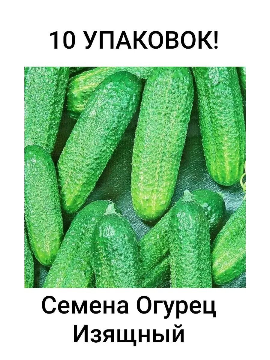 Семена огурец Изящный 10 упаковок по 05 г