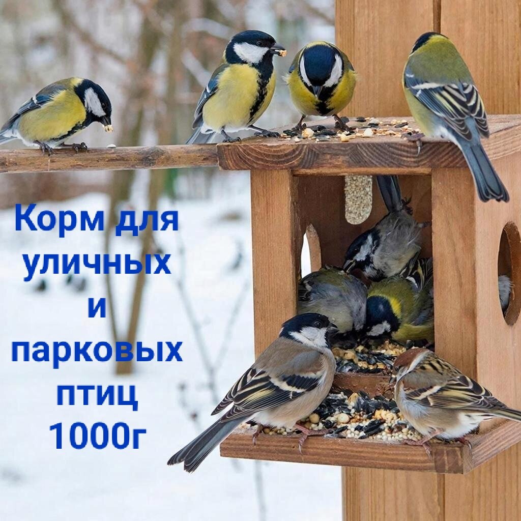 Корм для птиц зерносмесь семена подсолнечника и др 1000 г