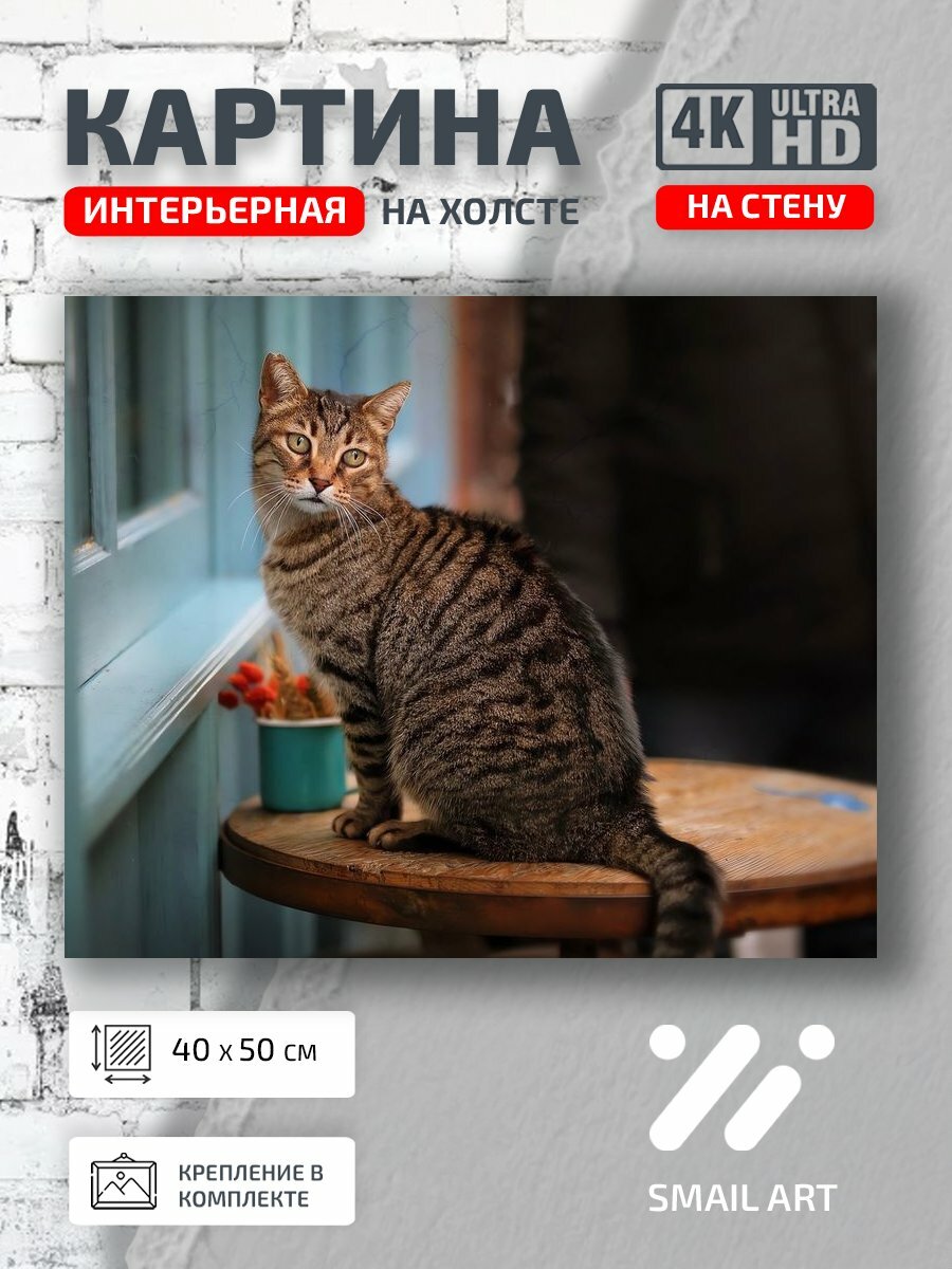 Картина на холсте интерьерная 40 на 50 на стену Окна Animal для спальни animal style декор