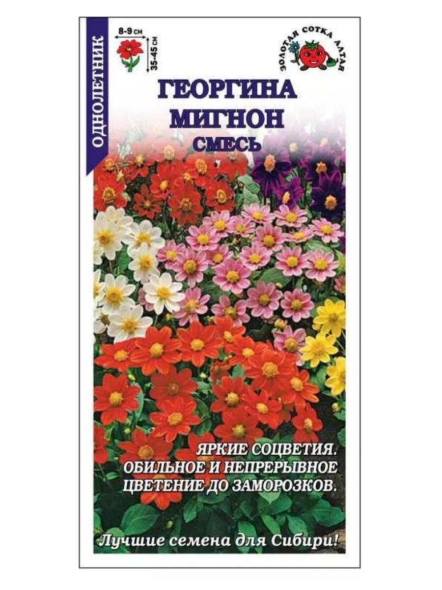 Георгина Мигнон смесь / 02г