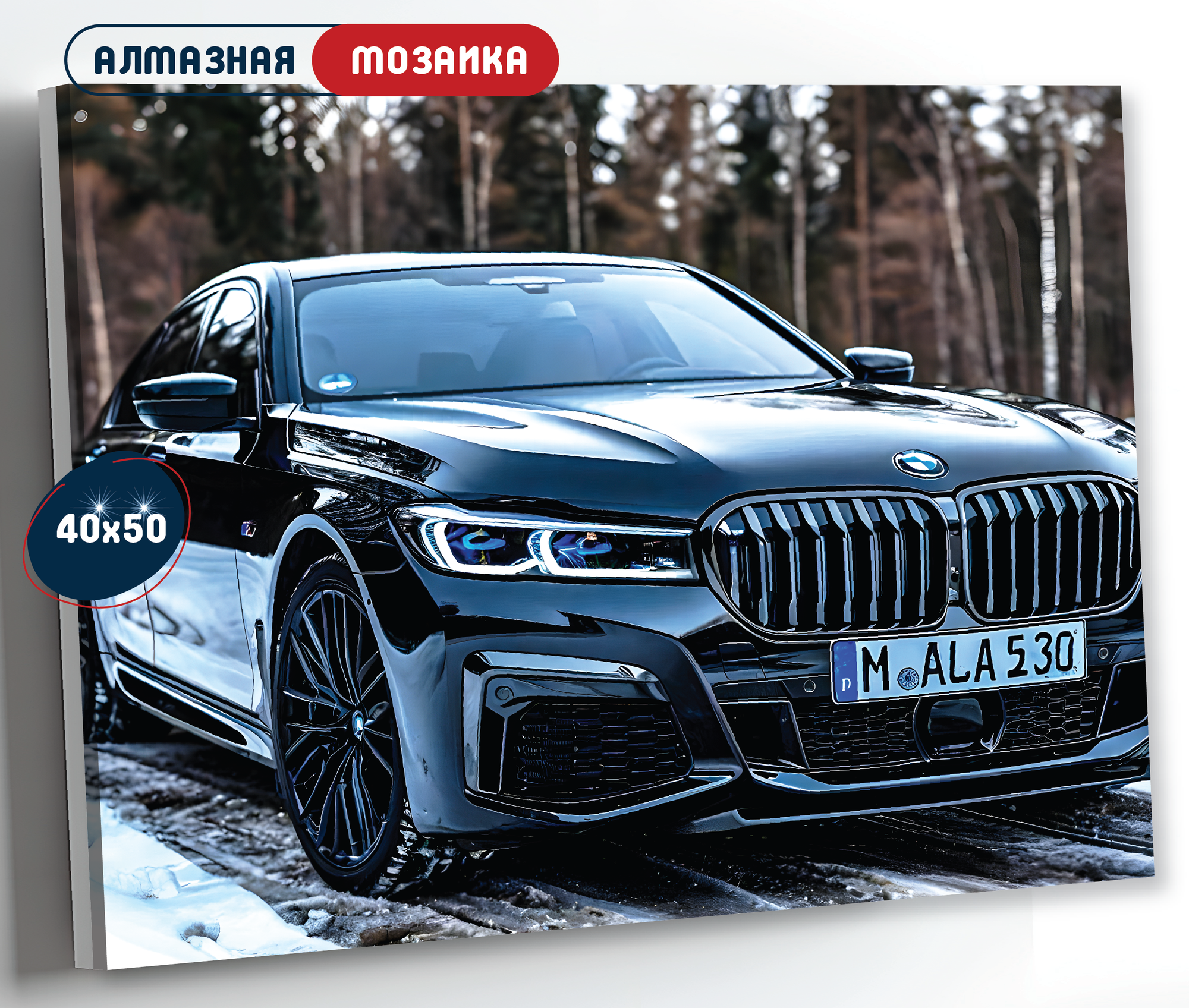 Алмазная мозаика на подрамнике 