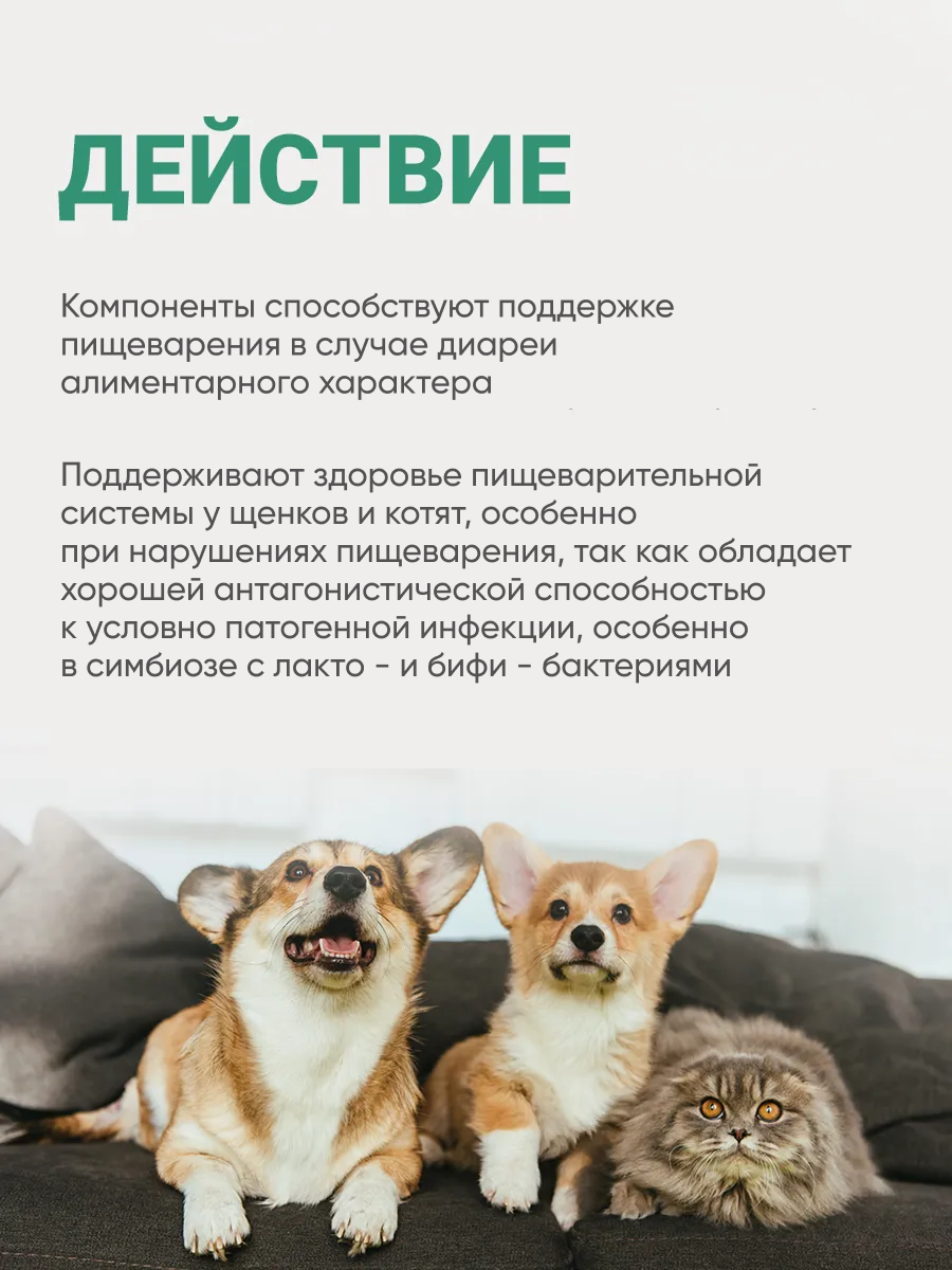 Пробиотик для собак и кошек лактобактерии для профилактики жкт, витамины для животных 20 шт. в упаковке — фото 1
