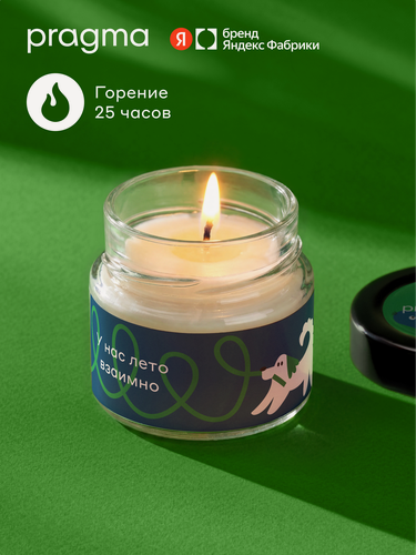 Изображение товара Свеча Boopla, соевый воск/хлопковый фитиль, 100 мл, летний вечер
