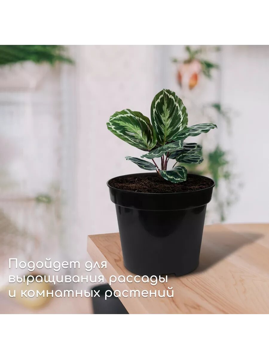 Изображение Горшок для рассады, 5 л, d-22 см, h-18 см, черный
