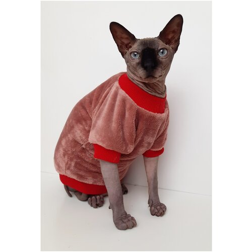Толстовка, свитер, шуба для кошек сфинкс, размер 35 (длина спины 35см), цвет коралл / Одежда для кошек сфинкс / одежда для животных
