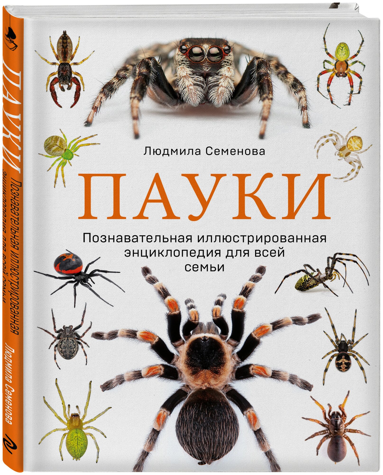 Семенова Л. С. Пауки. Познавательная иллюстрированная энциклопедия для всей семьи